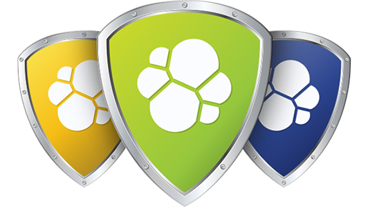 Elastic Shield Plugin Elastic Shield Plugin